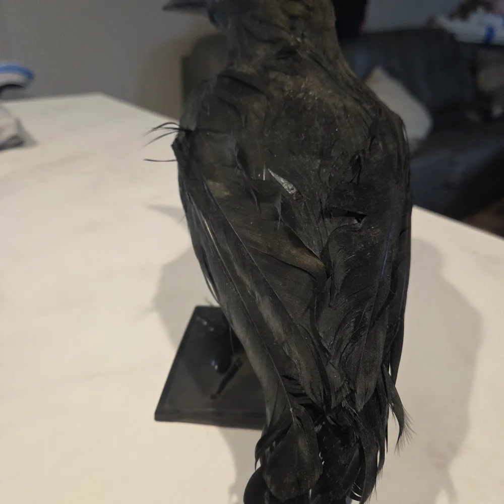 Black Decorative Bird Figurine